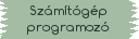 számítógép programozó